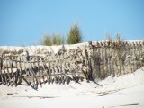 Ein Sturm hat den Sand abgetragen, aber hinter dem inzwischen voll gewehten Kuestenschutz ist die Duene erhalten geblieben.